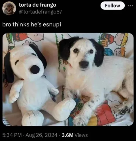Dog Thinks He’s Snoopy