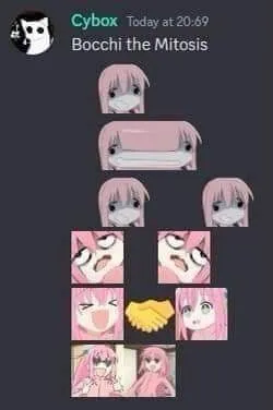 Bocchi the Mitosis