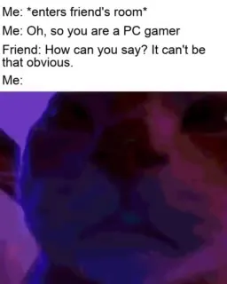 PC Gamer Friend Reaction Cat