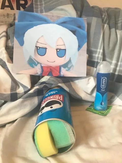 Cirno and Pringles Setup