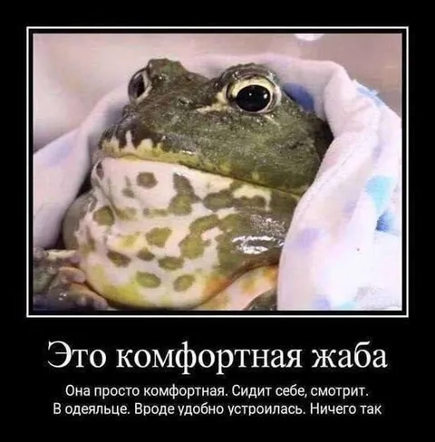 Комфортная жаба в одеяльце