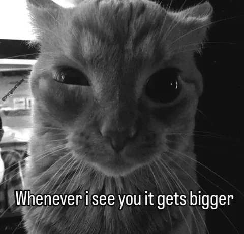 Whenever I See You