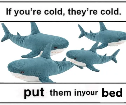 If You’re Cold, They’re Cold
