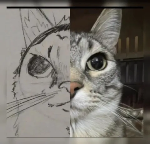 Кот на рисунке и в жизни