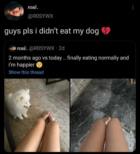 I Didn't Eat My Dog