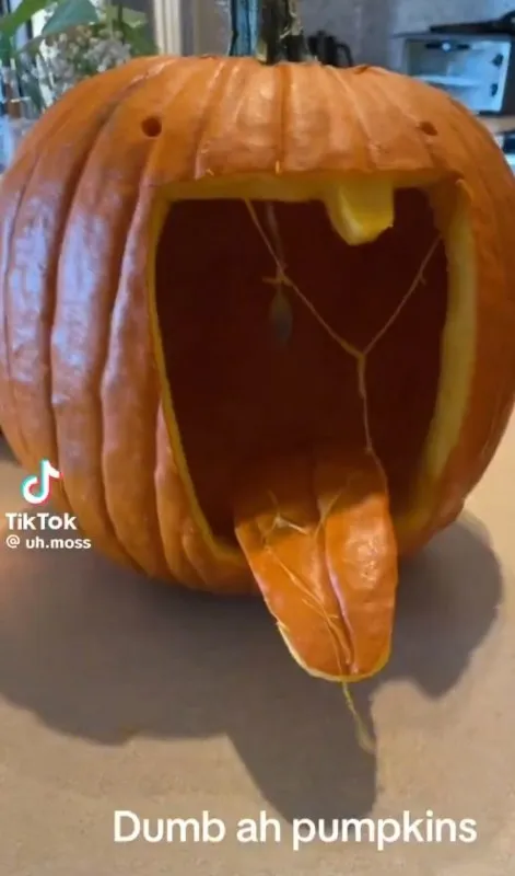 Dumb ah Pumpkins