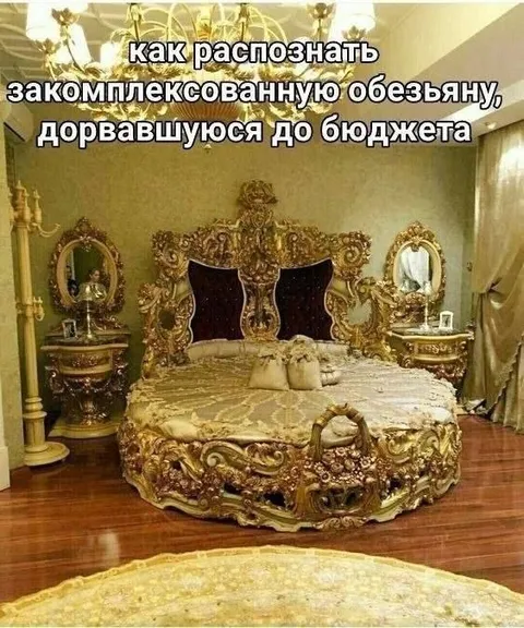 Обезьяна дорвалась до бюджета