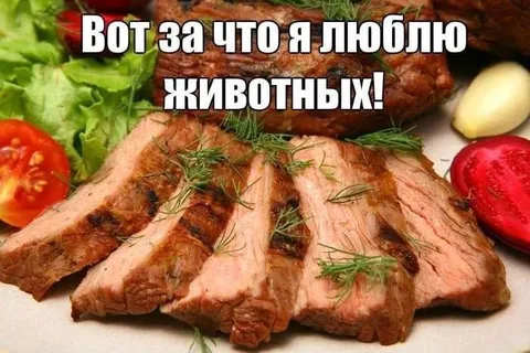 Вот за что я люблю животных