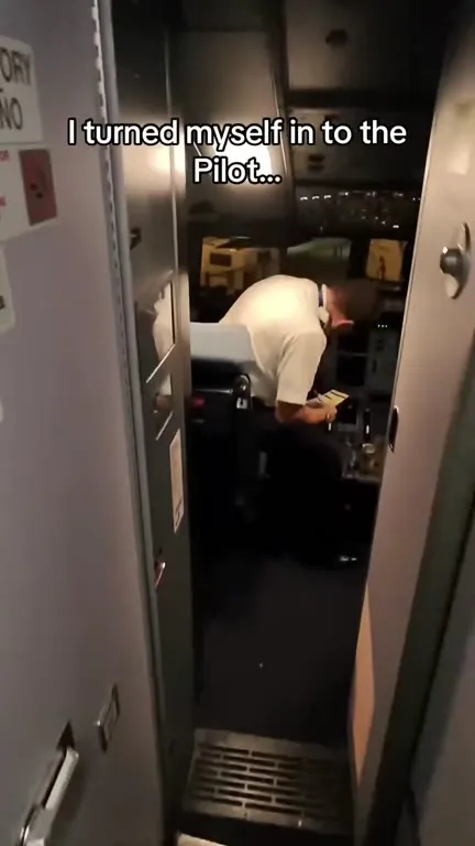 I Turned Myself In to the Pilot