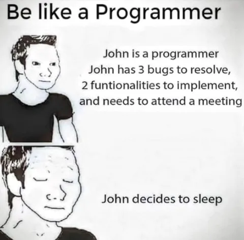 Be Like a Programmer Sleep Meme