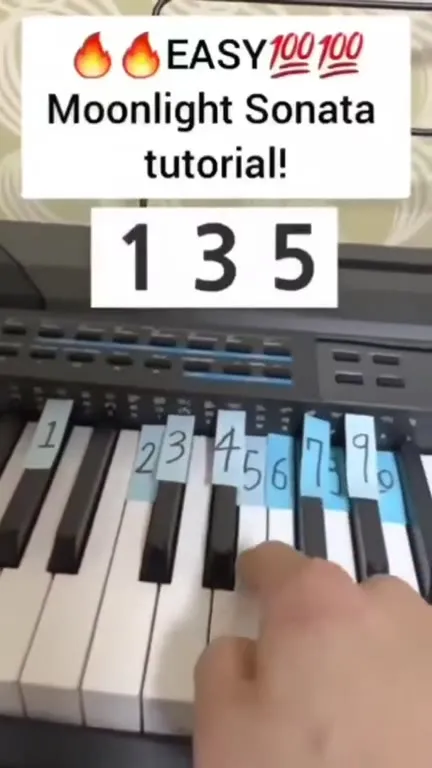 Easy Moonlight Sonata Tutorial