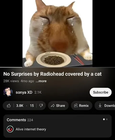 Crying Cat Sings Radiohead