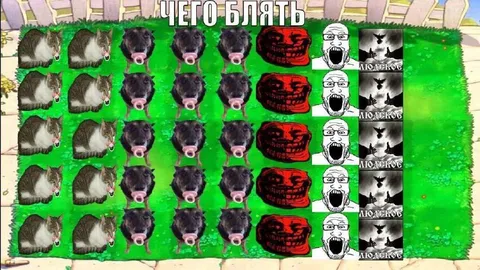 Чего блять на газоне