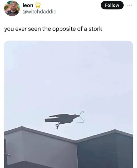 Opposite of a Stork