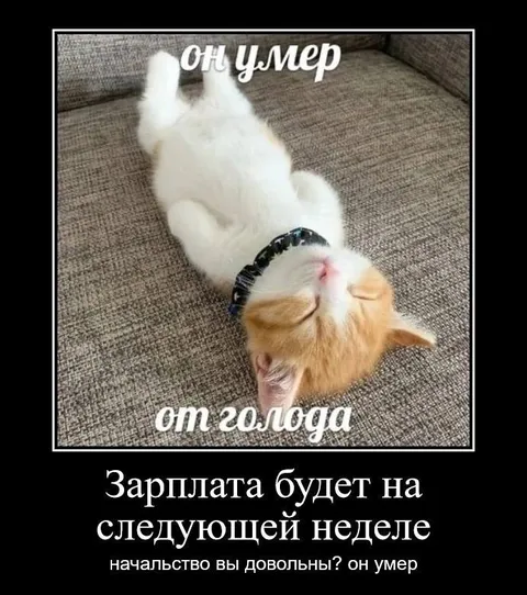 Зарплата на следующей неделе