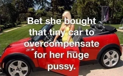 Tiny Car, Huge Pussy