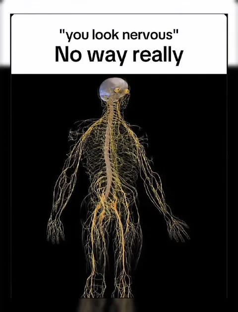Nervous System Denial