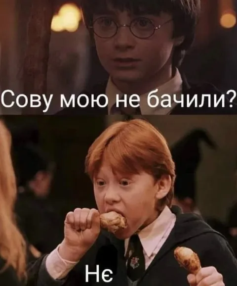Сову мою не бачили?