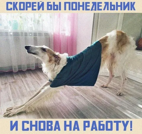 Понедельник и снова на работу