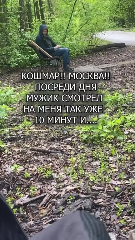 Мужик учит математике в лесу