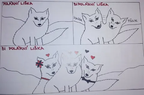 Polární liška ve třech náladách