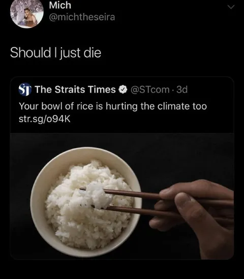 Should I Just Die Over Rice