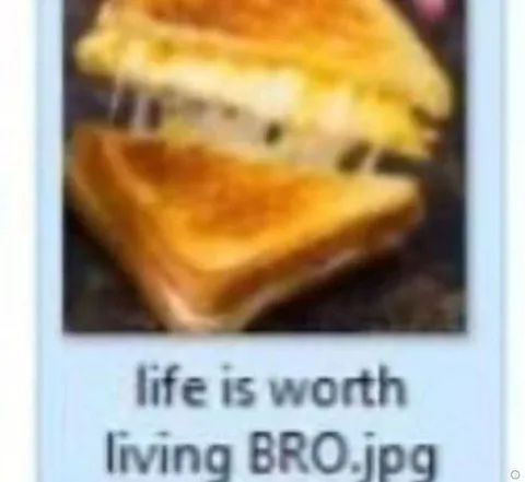 Life Is Worth Living Bro