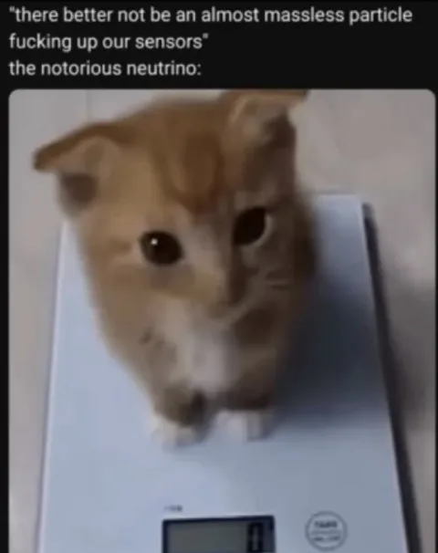 The Notorious Neutrino Cat