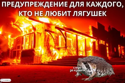 Предупреждение для нелюбителей лягушек