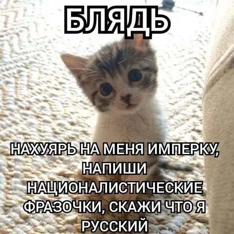 Котёнок требует русский империализм