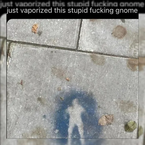 Vaporized the Stupid Gnome
