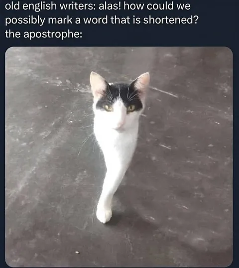 The Apostrophe Cat