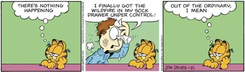 Garfield's Sock Drawer Wildfire