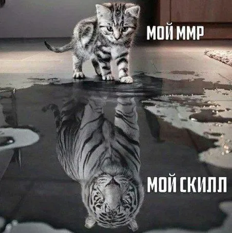 Мой мир, мой скилл