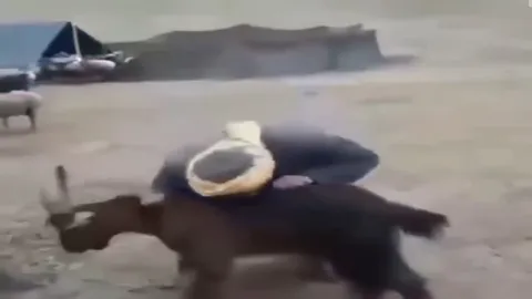 Мужчина несёт осла на плечах