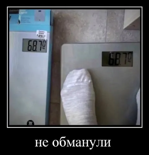Весы не обманули