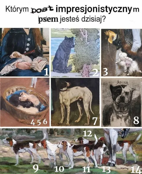Którym psem jesteś dzisiaj?