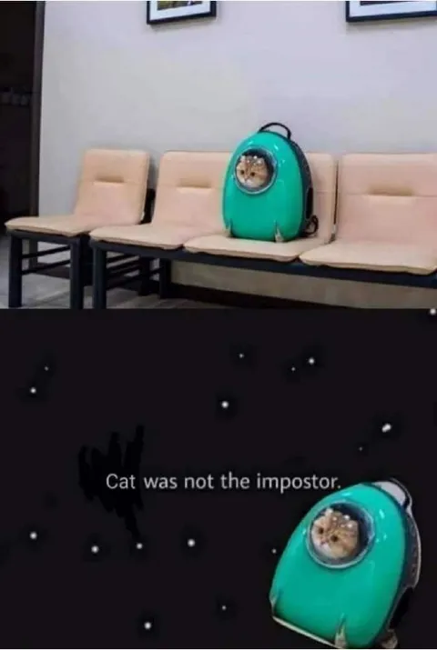 Cat Was Not the Impostor