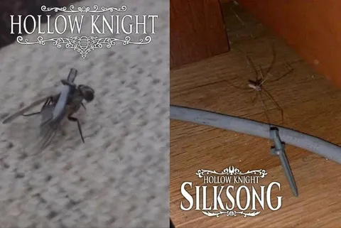 Hollow Knight Silksong Spider Joke