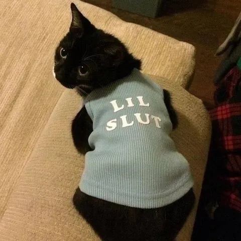 Lil Slut Cat Shirt
