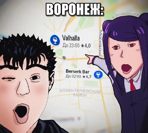 Воронеж: Valhalla или Berserk Bar