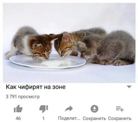 Как чифирят на зоне