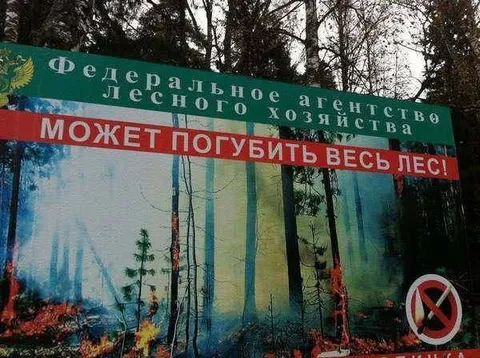 Федеральное агентство губит лес