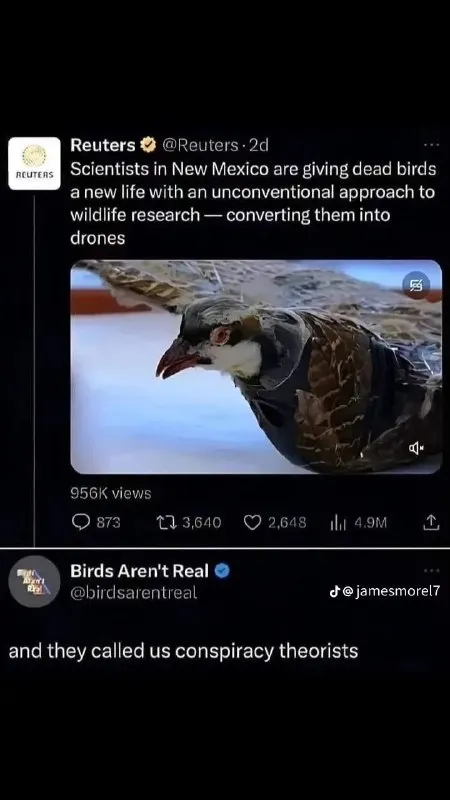 Birds Aren’t Real Vindicated