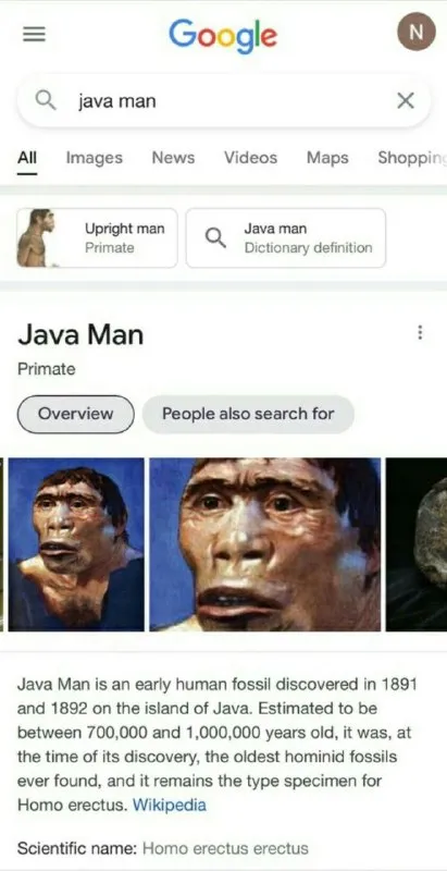 Java Man Google Search