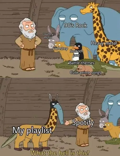 My Playlist Makes No Sense