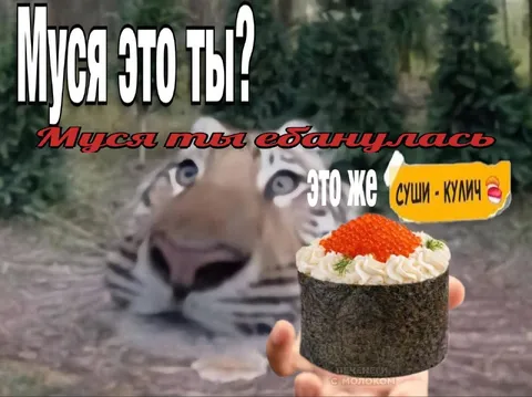 Муся ебанулась с суши