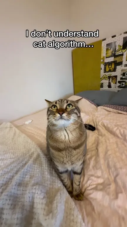 Cat Algorithm Explained by Sneezing