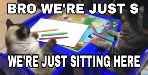Cats Just Sitting Here