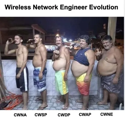 Wireless Network Engineer Evolution